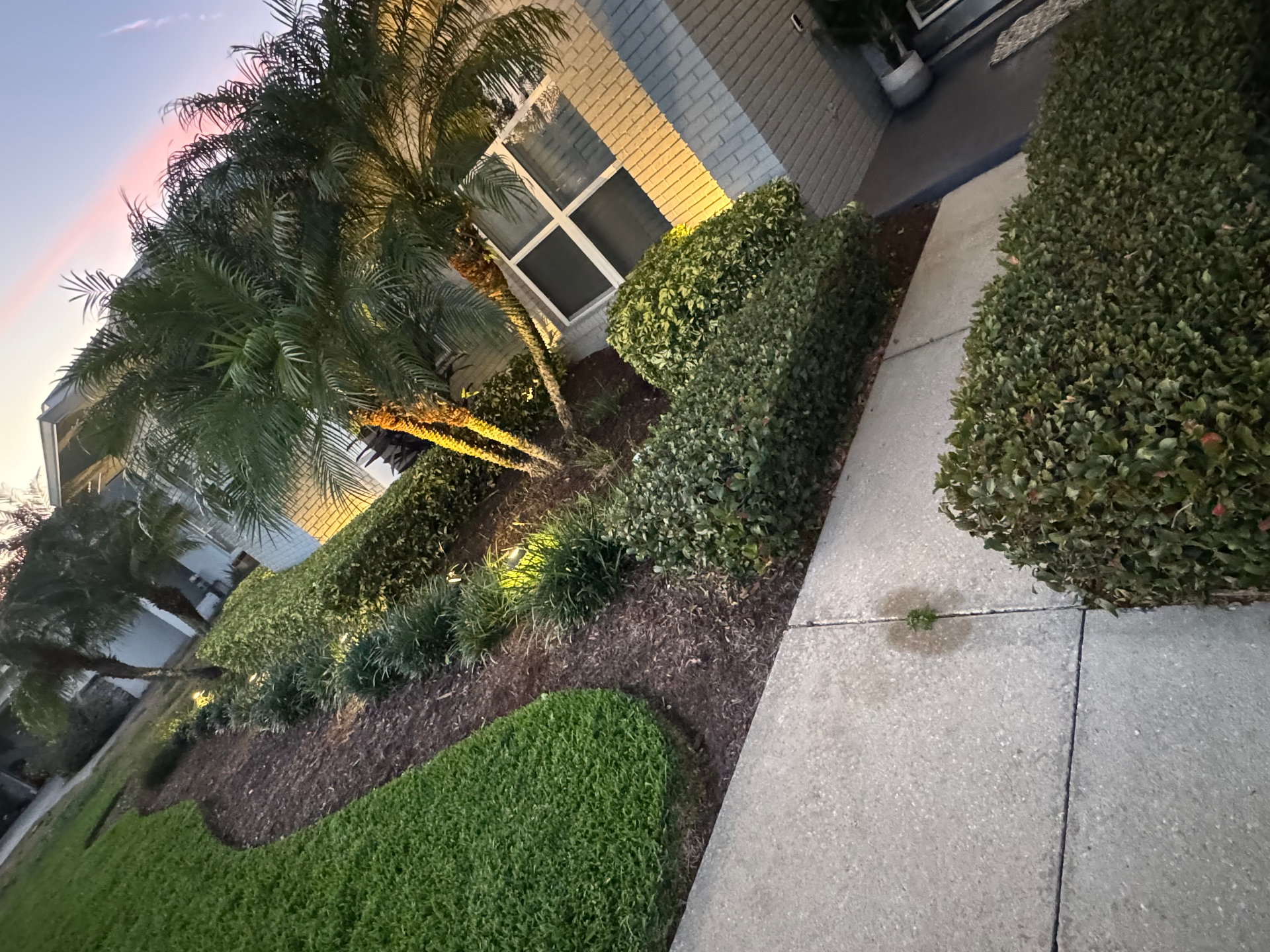 Fresh sod installation by the Haven crew at a Winter Haven property
