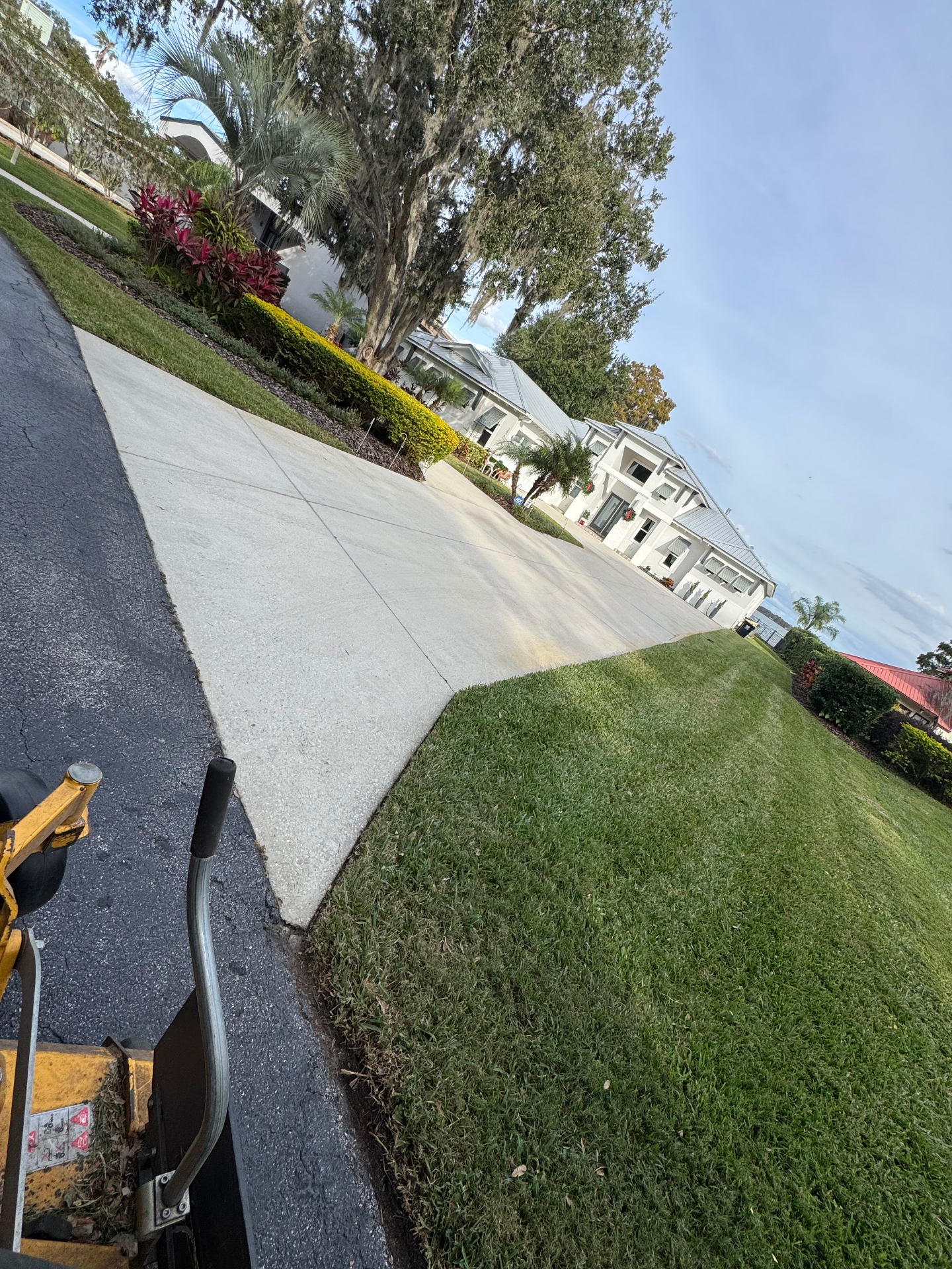 Freshly mulched palm bed with manicured turf edge