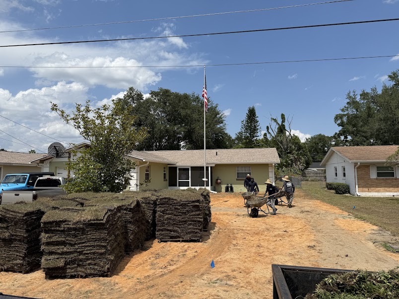 Fresh sod installation