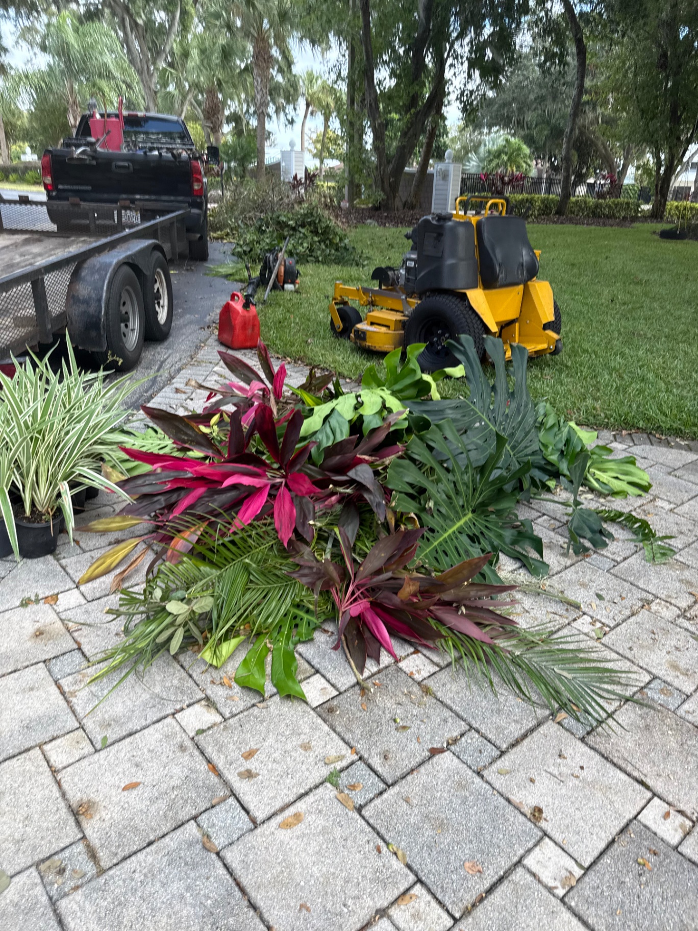 Tropical plant removal and bed clearing in progress